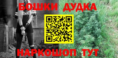 мдпв Будённовск