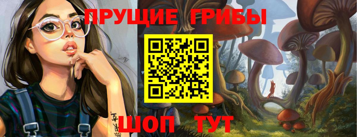 где можно купить   Вход с VPN  Медногорск  Галлюциногенные грибы мухоморы 
